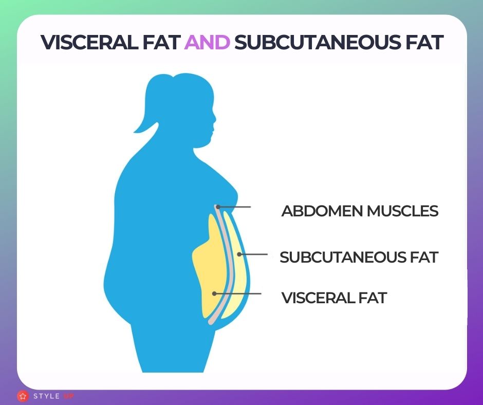 STYLEUP_Visceral_Fat_Vs_Subcutaneous_Fat_Why_Is_Belly_Fat_Dangerous_For_You_Difference_Between_Visceral_Fat_And_Subcutaneous_Fat_Get_Rid_Of_Belly_Fat.jpg