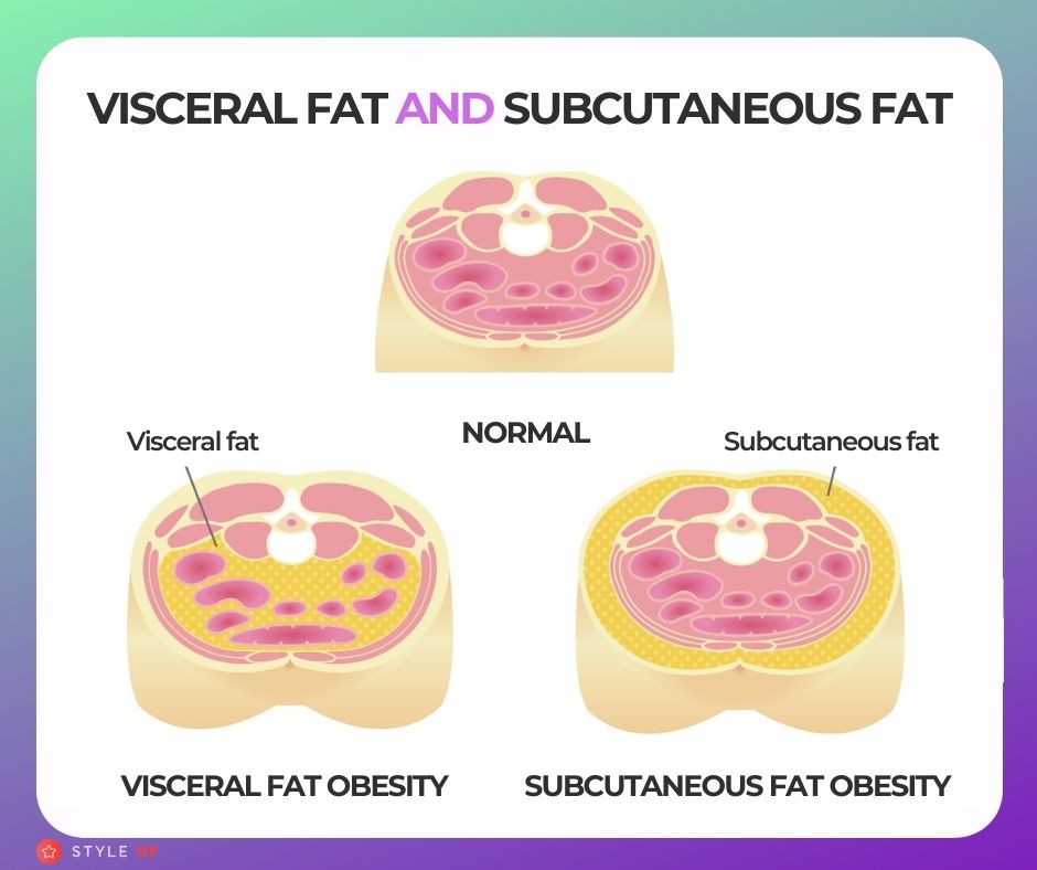 STYLEUP_Visceral_Fat_Vs_Subcutaneous_Fat_Why_Is_Visceral_Fat_Dangerous_For_You_Difference_Between_Visceral_Fat_And_Subcutaneous_Visceral_Fat_Obesity_Subcutaneous_Fat_Obesity_.jpg