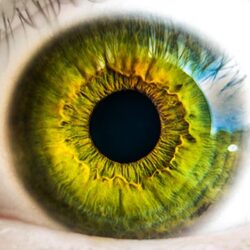 EYE VITAMINS AND EYE HEALTH – Vitamins And Foods That May Strengthen Your Eyes Naturally