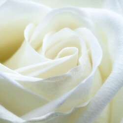 BEST ANTI-AGING NUTRIENTS FOR YOUNGER SKIN – A Complete Guide to Vitamins, Minerals and Skin Nutrition From the Inside Out