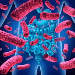 IMBALANCE OF GUT MICROBIOTA (GUT DYSBIOSIS) - Symptoms, Causes, Complications and Natural Treatment