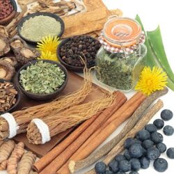 ADAPTOGENS - The Health Benefits Of Adaptogens, And The List of 28 Most Powerful Adaptogenic Herbs